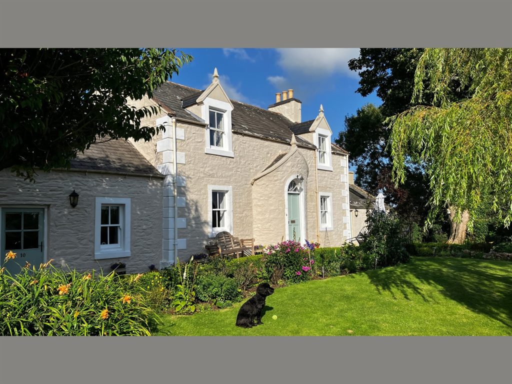 Property and Garden with black dog